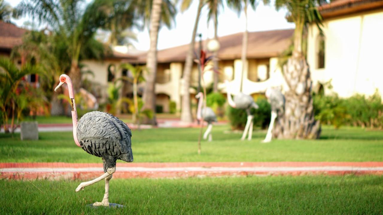 Ocean Bay Hotel & Resort Bakau Exterior photo